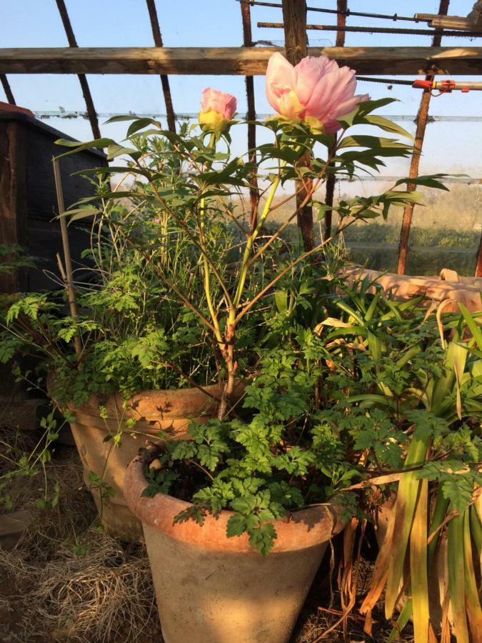 Le Jardin Des Sources Bed & Breakfast La Hulpe Luaran gambar