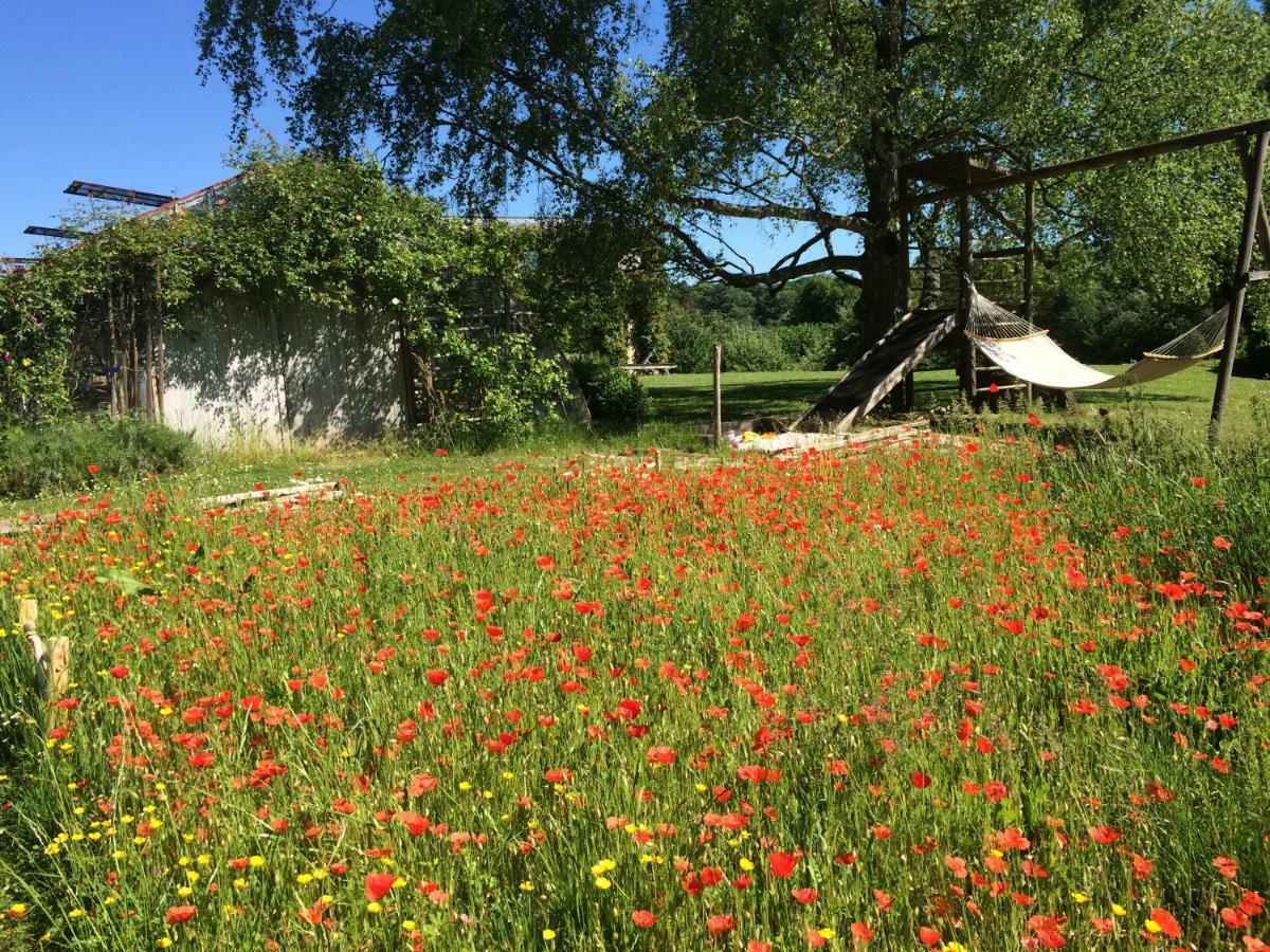 Le Jardin Des Sources Bed & Breakfast La Hulpe Luaran gambar